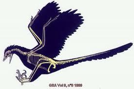 The first fossil of the Archaeopteryx was found in 1861, and by studying its joints and bones, archeologists can tell that it either lived in trees or on the ground.