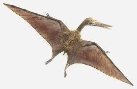 Instead of wings, Pterosaurs use thin membranes to fly.