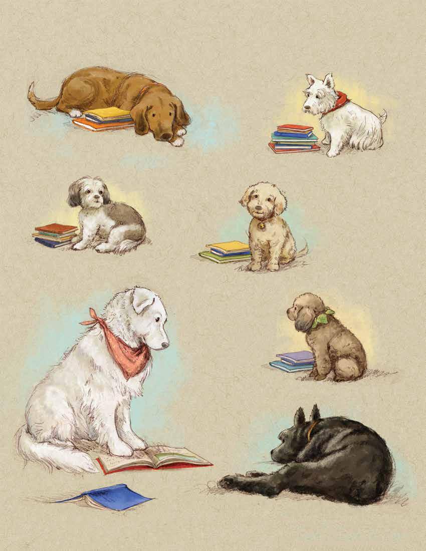 Can you find these REAL therapy dogs in the