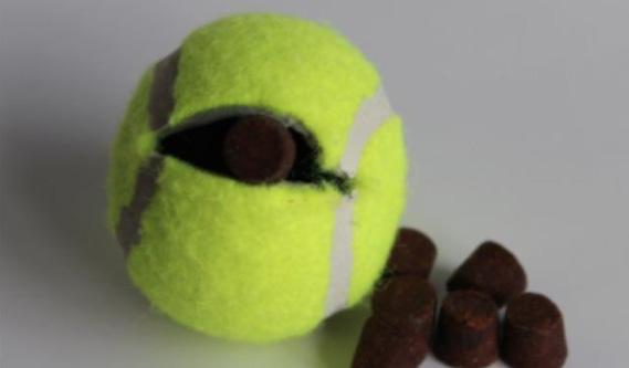 diy dog enrichment tennis ball treat dispenser