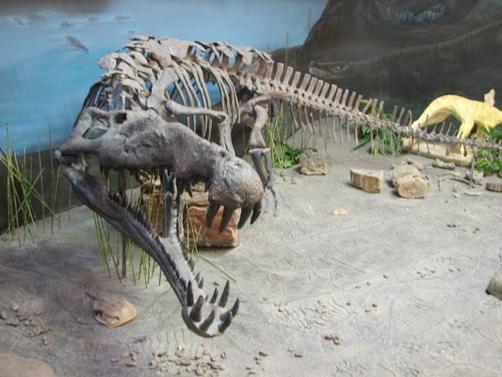 Though some archosaurs were bipedal some reverted back to four-footed stance and would evolve into heavily armored carnivores or large