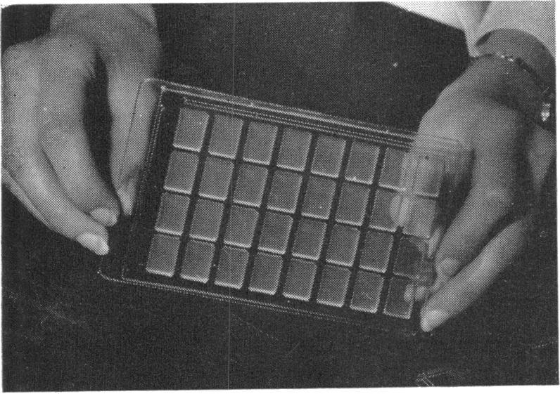A suitable design of plastic tray is shown in Fig. 2.