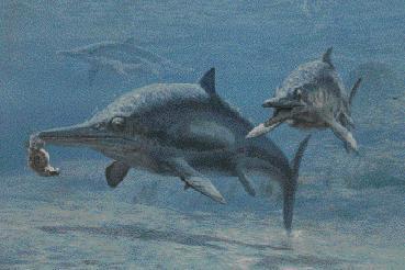 advanced ichthyosaurs