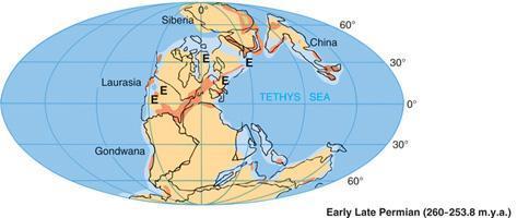 Pangea At the beginning of the Mesozoic, the continents were assembled into a supercontinent,