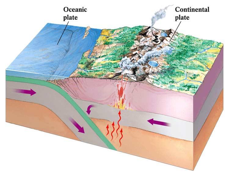 Convergent Boundary: Subduction Melting Produces More Felsic Magma Results