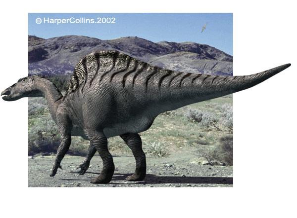 Hadrosaurs -