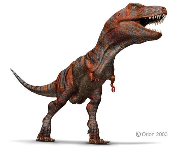 Theropods Tyrannosaurus: up to 30 feet in length, several tons, size