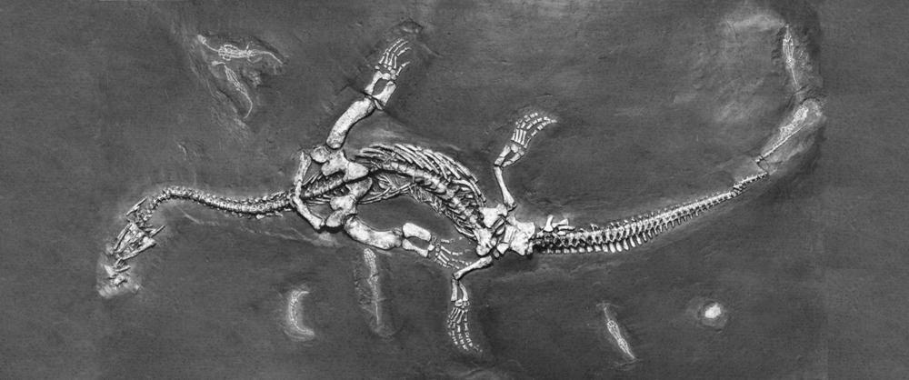 Marine reptiles Early Mesozoic Life