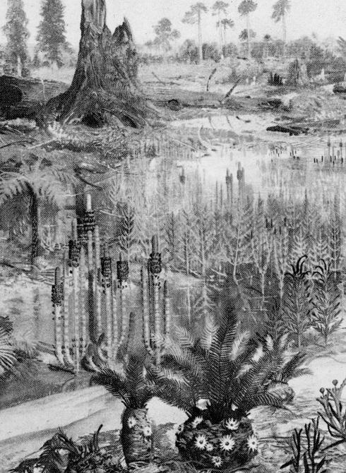 Early Mesozoic Life on Land Mesozoic