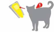 4. APPLY: The cat/kitten should be standing for easy application. To apply, use tip to part hair and get next to cat s/kitten s skin at the base of the skull.