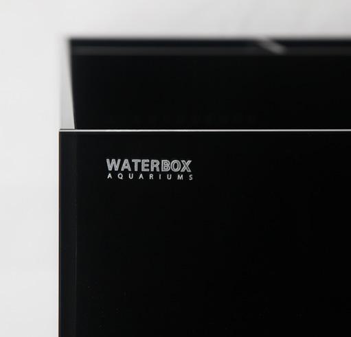 WATERBOX ALL IN ONE