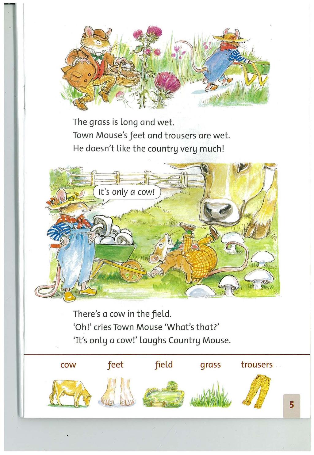The grass is Long and wet. Town Mouse's feet and trousers are wet. He doesn't Like the country very much!