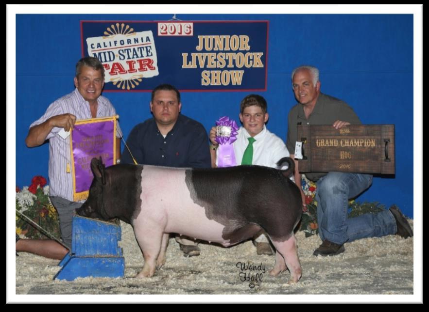 Market Swine Show Market Swine will be entered and shown in the following 4-H and FFA Divisions 1. Duroc Market Hogs- Must meet Breed standards for Market Durocs. 2.