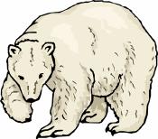 Directions: Read the passage below and answer the question(s) that follow. The King of the Arctic Did you know that a polar bear cub weighs 1 1/2 pounds at birth?
