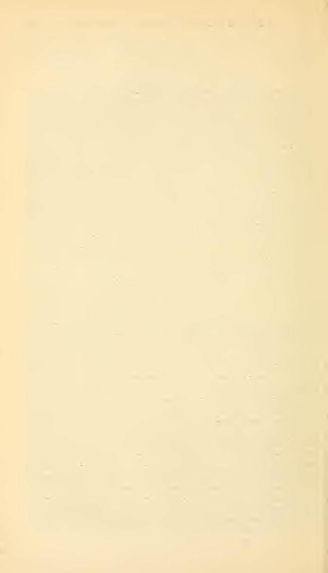 246 PROCEEDINGS OF THE NATIONAL MUSEUM. vol.40. PSEUDOMELECTA INTERRUPTA Cresson. Kerrville, Texas, April, 1907 (P. Durham). COELIOXYS (LIOTHYRAPIS, new subgenus) APICATA Smith.