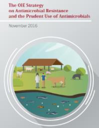 OIE Strategy on AMR and the Prudent Use of Antimicrobials Context 2015 Global Action Plan on AMR and the Tripartite Partnership OIE World Assembly Resolutions on AMR in 2015 and 2016 OIE AMR Strategy