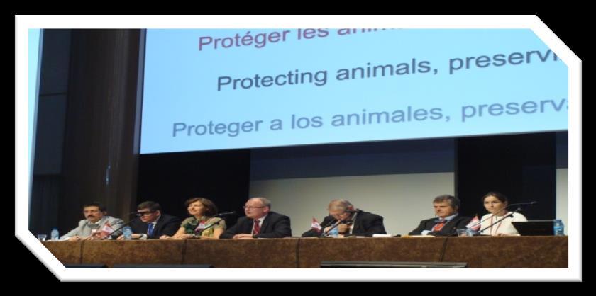 6. OIE Platform on Animal Welfare for
