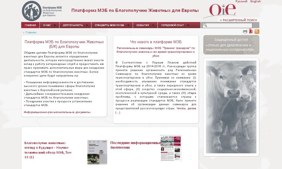int/ (2014-2016); Translation of documents in Russian (2014-2016).