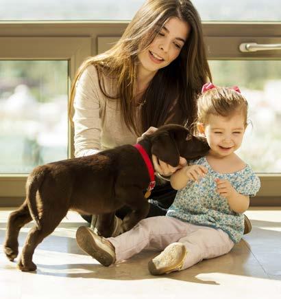 n Socialization begins at home. A small pup feels more secure on his home turf. As he gets older, visit other homes and get him used to different sights and scents.