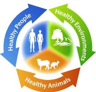 NARMS Looking Forward: From Integrated to One Health Surveillance 1. Add food animal pathogens. 2. Add appropriate on-farm testing. 3. Incorporate companion animal surveillance. 4.