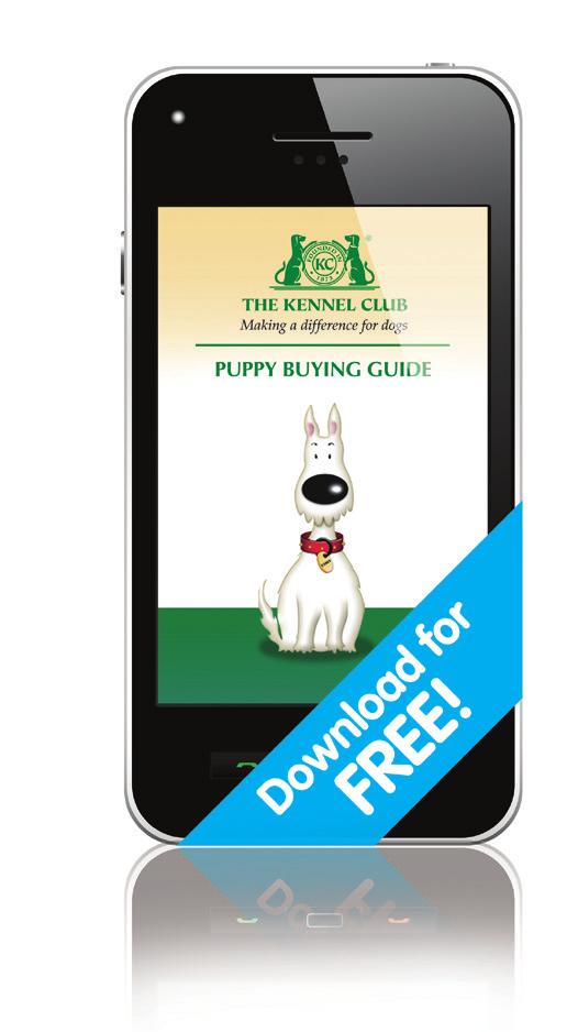 Kennel Club direct, along with any advice you may need.