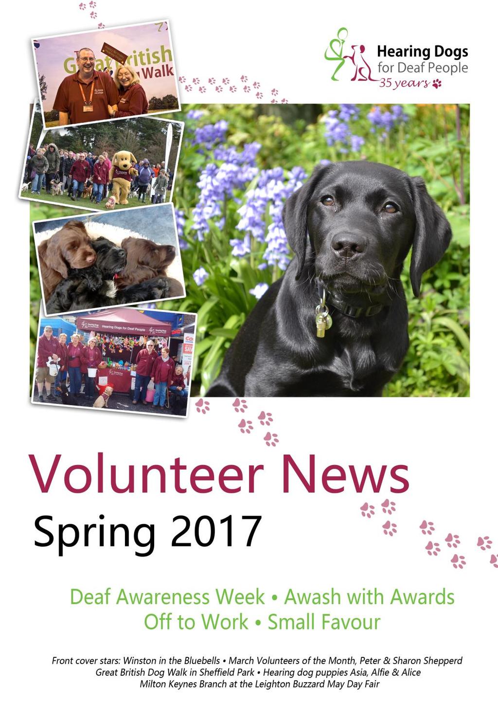 Volunteer News Spring 2017