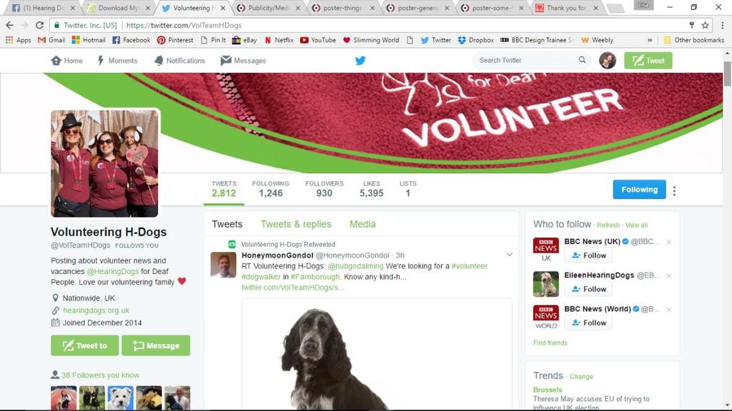 You can follow us @VolTeamHDogs During Crufts 2017, Channel 4 were