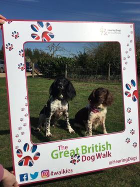 Focus on Fundraising The Great British Dog Walk 2017 Walkers both two and four-legged alike around the country