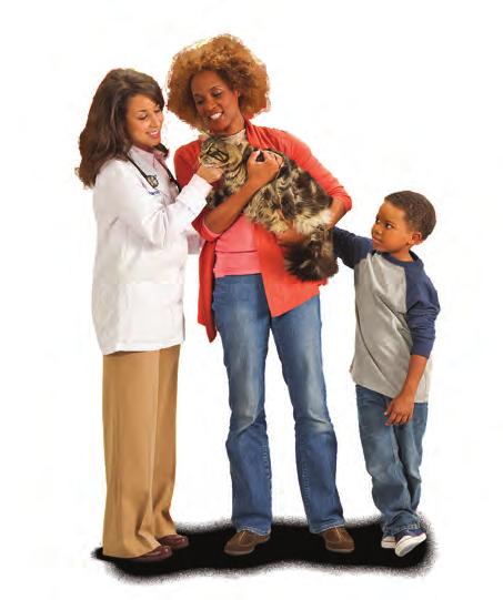 SECTION B: SELECT YOUR VETERINARIAN AND PREPARE YOUR HOME Your new furry bundle of joy will be coming home soon, so there s plenty to do beforehand: Research and choose the right veterinarian Prep