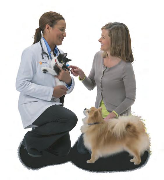 SECTION C: TOGETHER FOR THE LIFE OF YOUR PET First Veterinary Exam appointment, bring the medical information you got from the shelter or breeder.