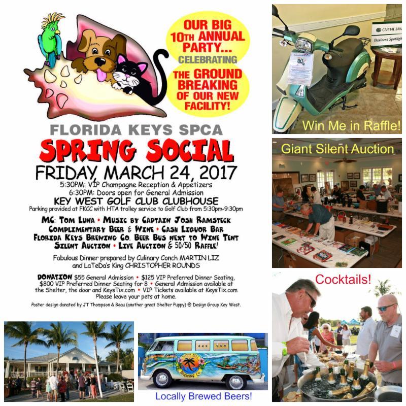 CLICK TO GET YOUR SPRING SOCIAL