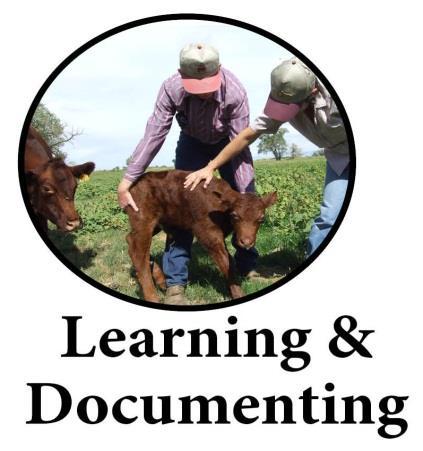 Current Projects Master Breeder Program Through our vast network of