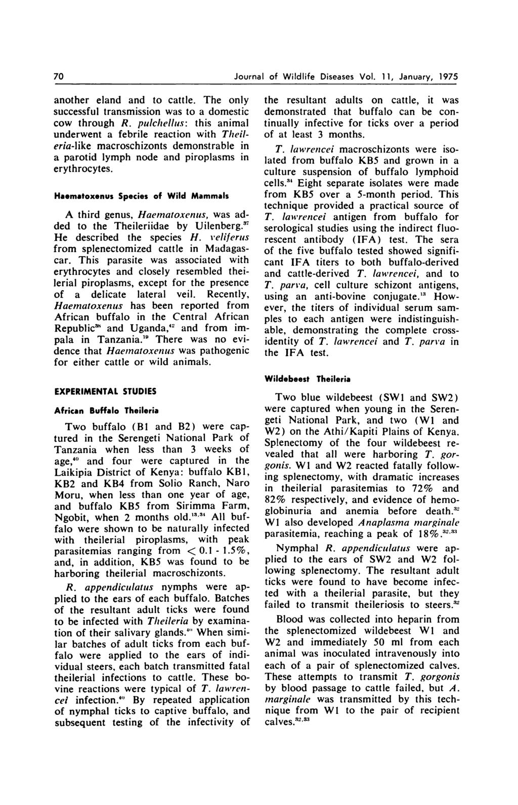 70 Journal of Wildlife Diseases Vol. 11, January, 1975 another eland and to cattle. The only successful transmission was to a domestic cow through R.