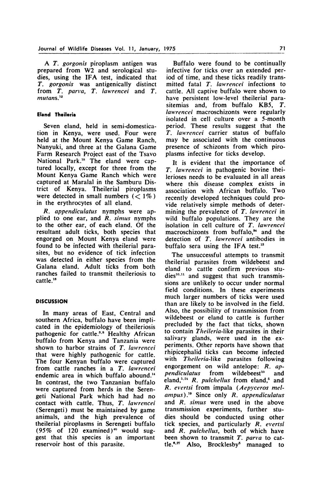 Journal of Wildlife Diseases Vol. 11, January, 1975 71 A T. gorgonis piroplasm antigen was prepared from W2 and serological studies, using the IFA test, indicated that T.
