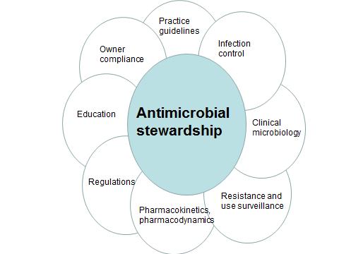 veterinarians, although ultimately the legally mandated responsibility for stewardship has shifted to veterinarians. What is antimicrobial stewardship?