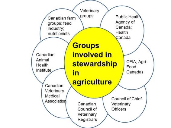 The complexity of leadership on animal AMR issues in Canada The pan-canadian Framework for Action is setting the scene for development of a pan- Canadian Action plan to take a One Health approach to