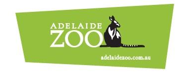 Animal Study: Adelaide