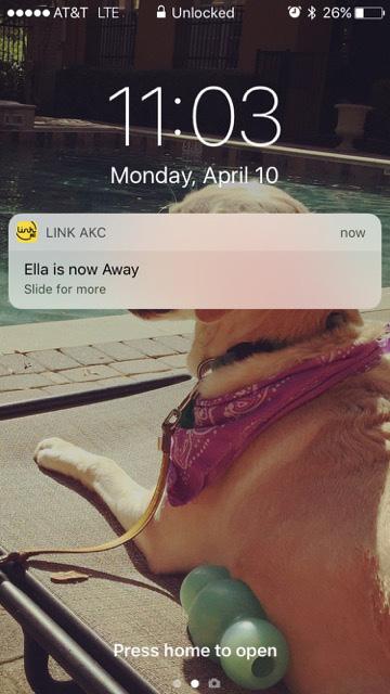 It could be with someone that does not have the LINK AKC App (dog walker, child, etc.