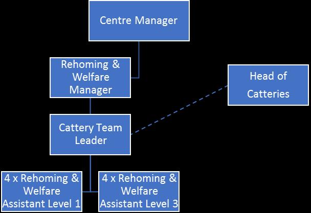 Desirable qualifications, experience and skills Experience of working within the animal welfare sector Knowledge of cat