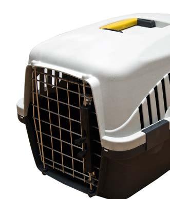 n If you have a growing puppy, consider a crate that has a removable partition so that the crate space can
