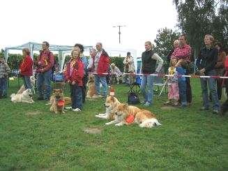 On Sunday, the 19th of September 2004, the Eurasier Club Weinheim, Germany (EKW) celebrated a Eurasier meeting of a different kind.