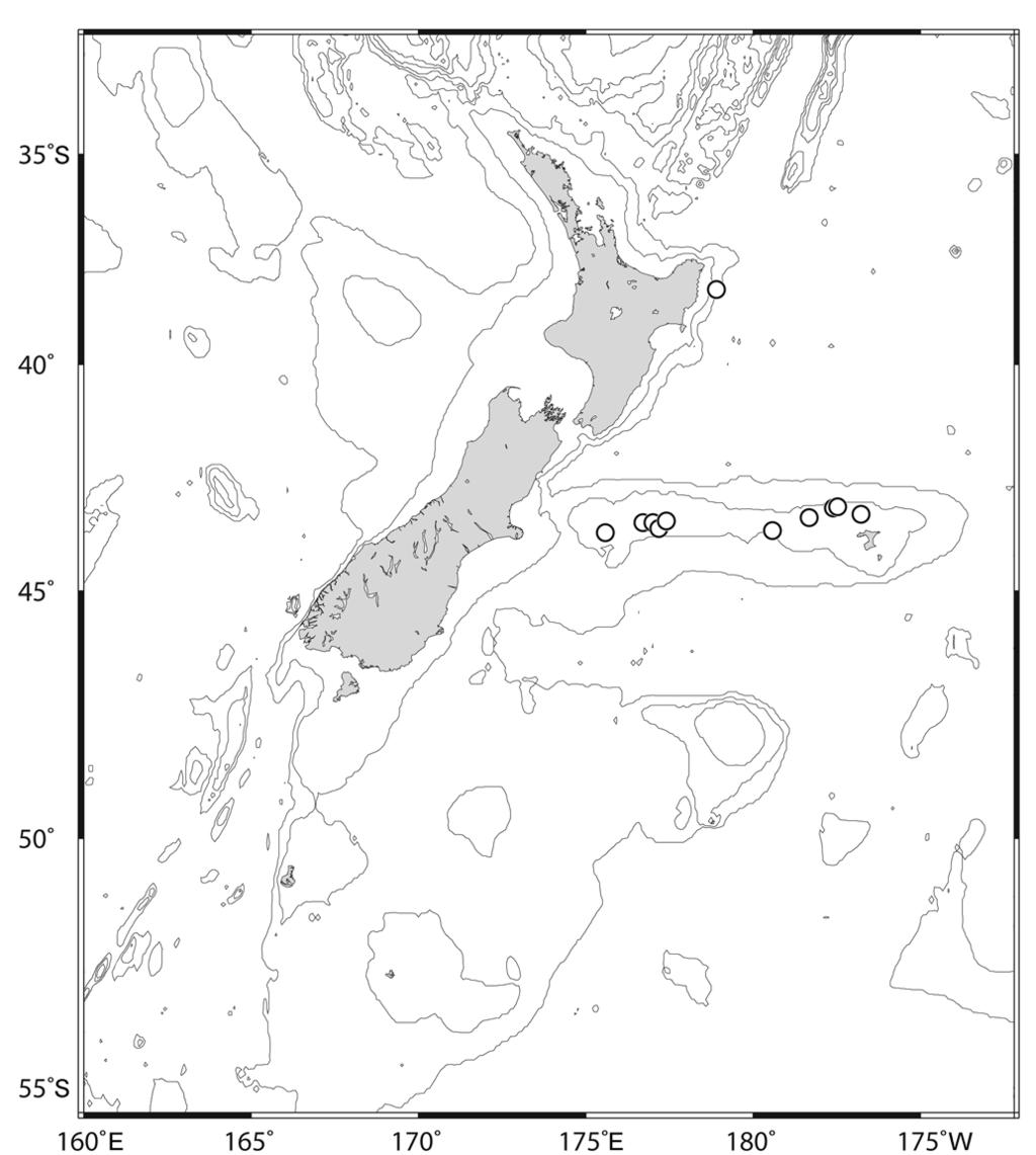 Figure 23. New Zealand distribution of Colubrisquilla dempseyi gen. et sp. nov. terminating in short tooth, directed ventrally.