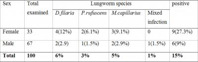 MORTEM EXAMINATION Of the total 100 sheep examined at post mortem the overall prevalence of lung worm infection was about 15.0% with significant variation (P<0.05) between each lungworm species.