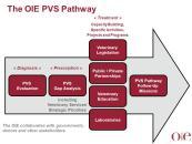OIE Activities on AMR PVS pathway, Gap analysis Veterinary Services & Legislation (importation, distribution, use of antimicrobial) Nomination and training of National Focal Points Supporting