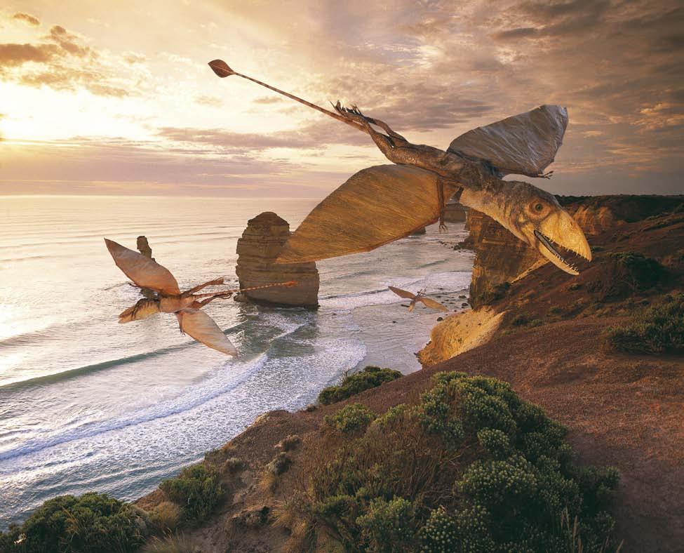 In the air Dimorphodon, a relative of the dinosaurs, was a flying reptile.