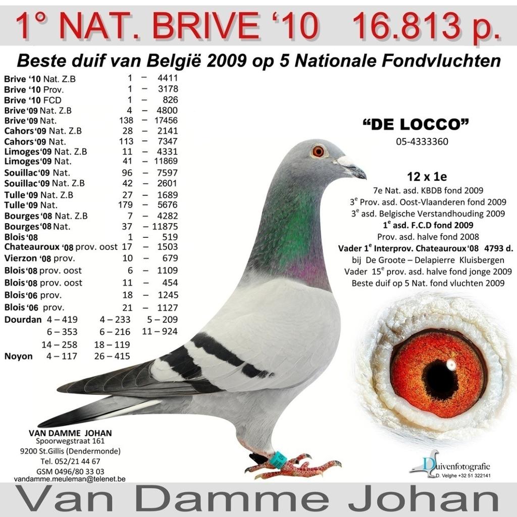 DE LOCCO SOLD BY JOHAN VAN DAMME TO CHINA FOR 170,000.00 BIG ANDY TO BREED FROM FOUR DIRECT CHILDREN IN 2011!