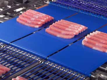 HACCP conveyor and process belts for meat, poultry and seafood CHIORINO manufactures conveyor and process belts that fully comply with the latest european and international Food Regulations, and