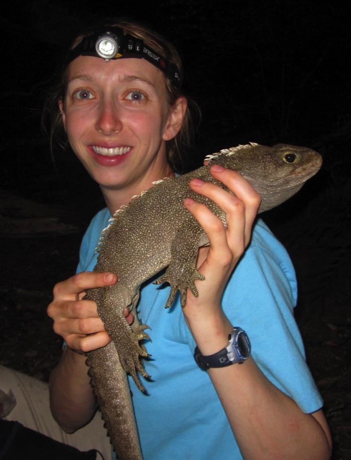 Kristine collecting data on a tuatara in the field. Photo by Sue Keall. risk factors. One of the current challenges faced by these populations is climate change.