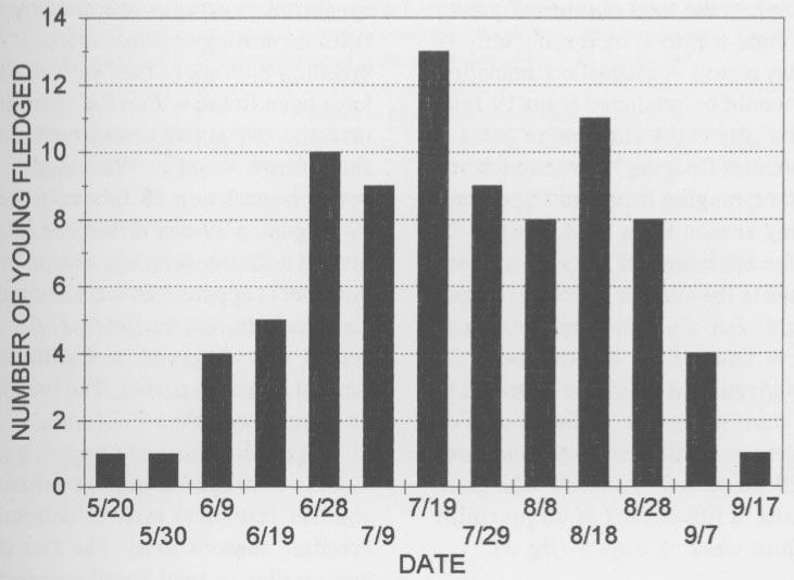 Figure 1 Fledging dates of Marbled Murrelet young from nests in North America (n = 86) in 10-day intervals.