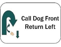 Call Dog Front, Return Right: Team stops heeling forward as handler steps backwards and calls dog to front position, dog sits facing handler.